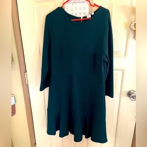 New! Gap Dress fit & flare